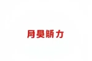 《替身演员的聊天记录》封面，手机屏幕上的群聊界面