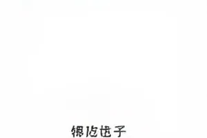 《粉丝后援会账目风波》封面，公开的电子表格打印件